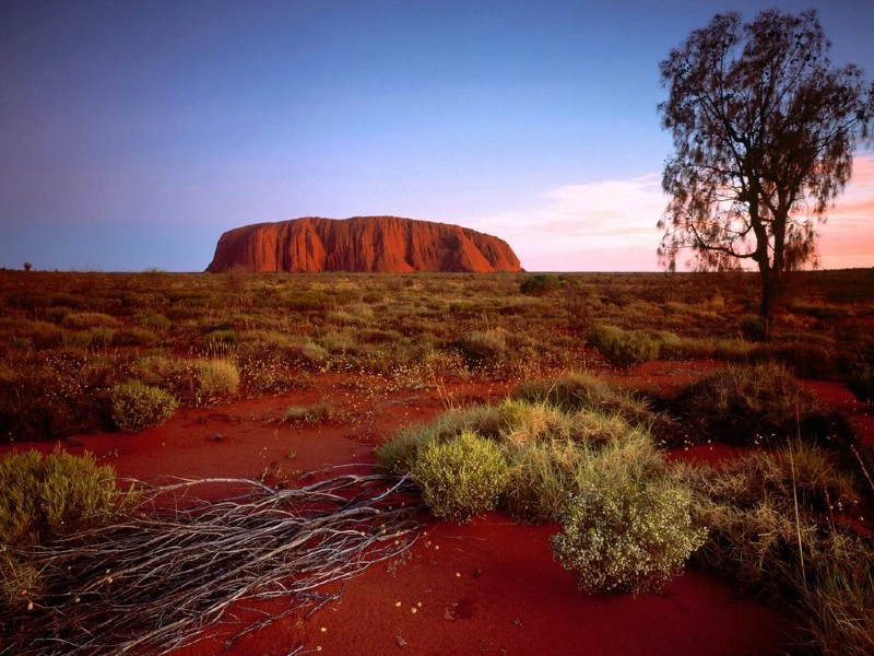 Uluru im Outback, Australien