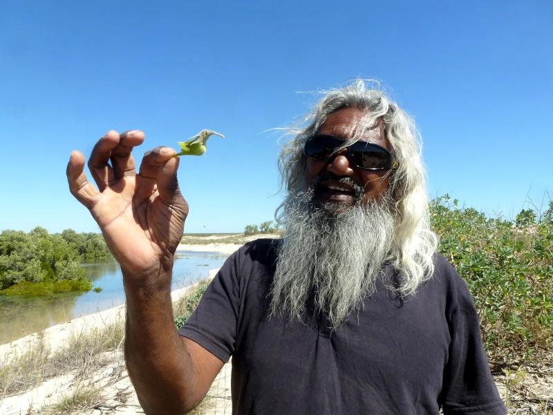 Aboriginal Culture in Australien