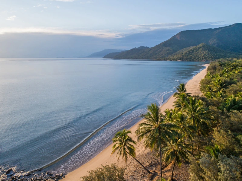 Strand und Palmen in Australien