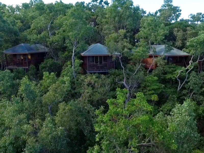 Cottages im Regenwald