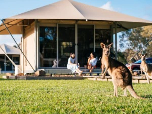 Glampingzelt in Noosa