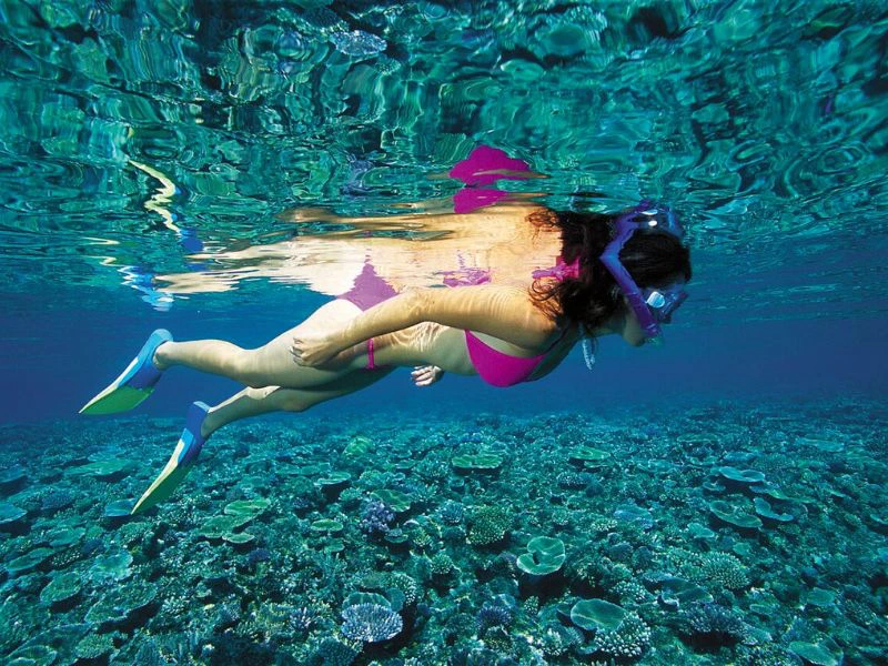 Schnorcheln am Great Barrier Reef