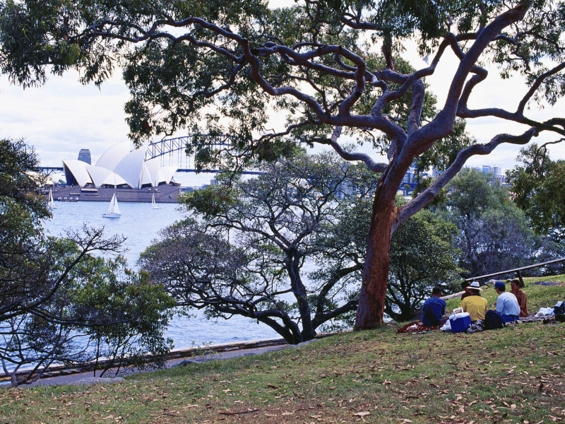 Picknick mit Aussicht auf das Opernhaus in Sydney