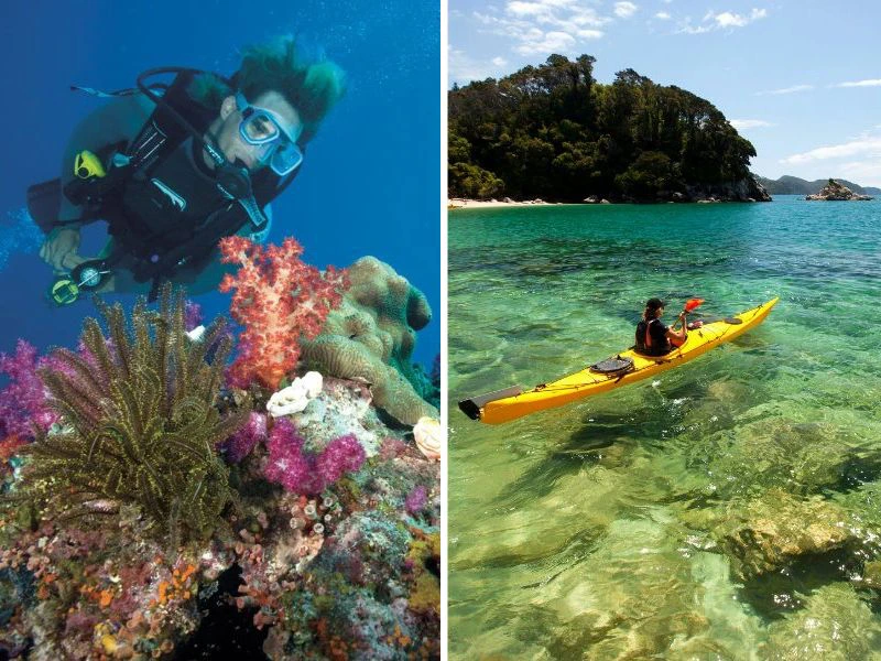 Tauchen am Great Barrier Reef und Kajaken im Abel Tasman Nationalpark