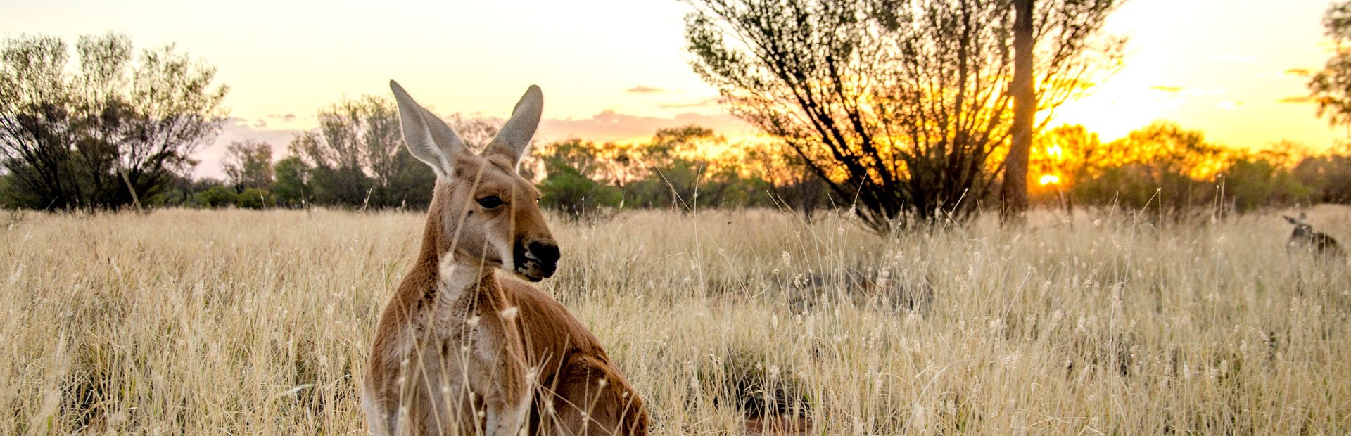 Gewinnspiel Australien