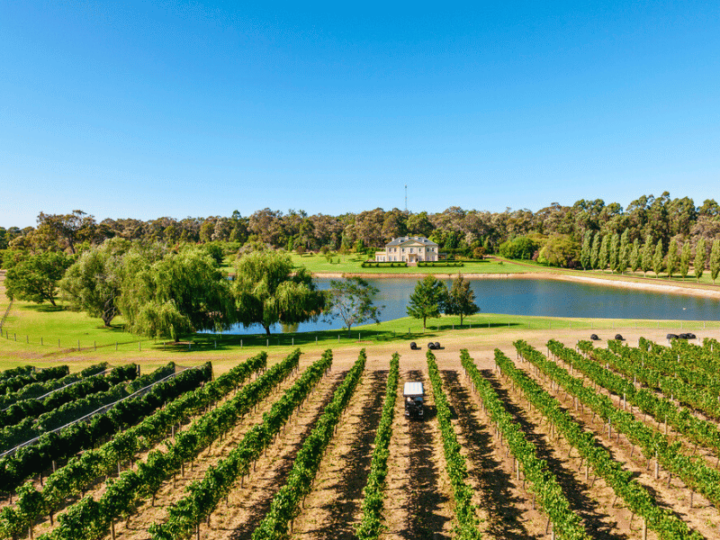 Weingut in Margaret River