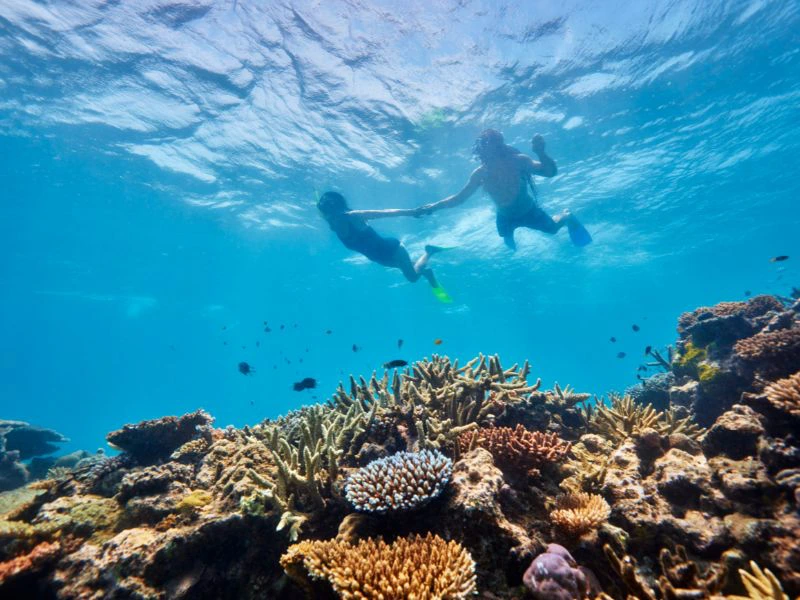 Great Barrier Reef