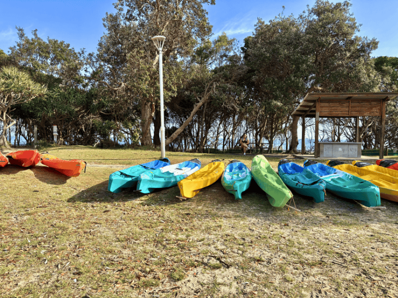 Dreizehn bunte Kajaks an Land vor einer Baumgruppe am Meer