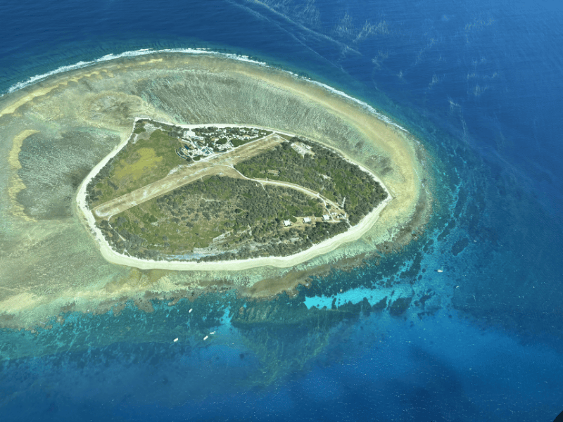 Insel mit grünen Bäumen und Strand im Meer aus der Luft fotografiert
