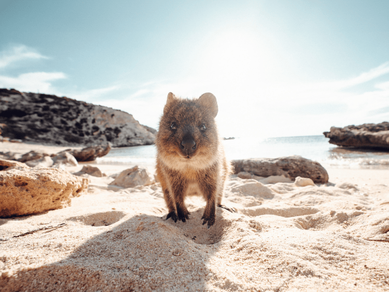 Tourism Western Australia