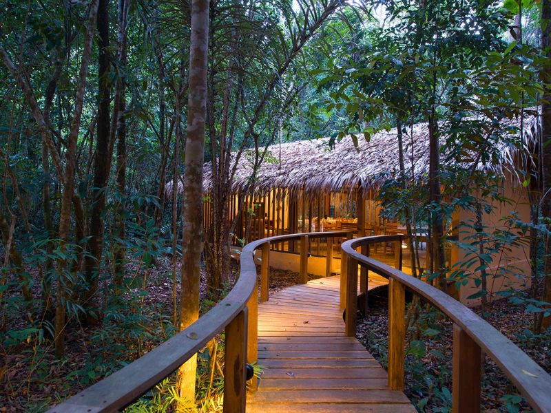 Holzstege bei der Amazon Lodge