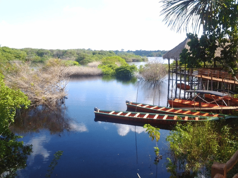 Ausblick von der Amazonas Lodge in Brasilien