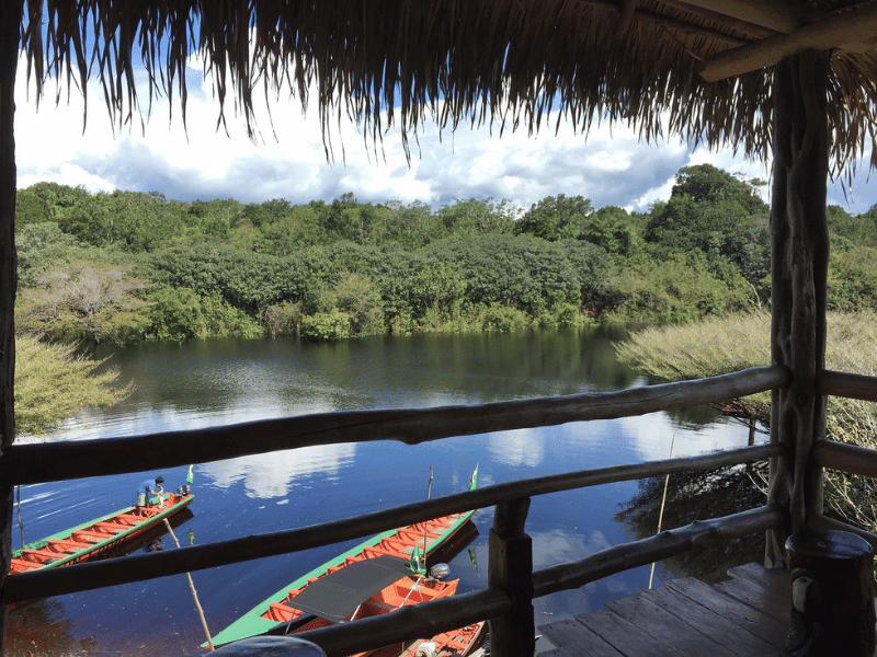 Ausblick vom Restaurant der Amazon Lodge in Brasilien