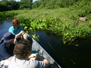 brasilien-pantanal-reisen-bootstour-ausflüge-natur
