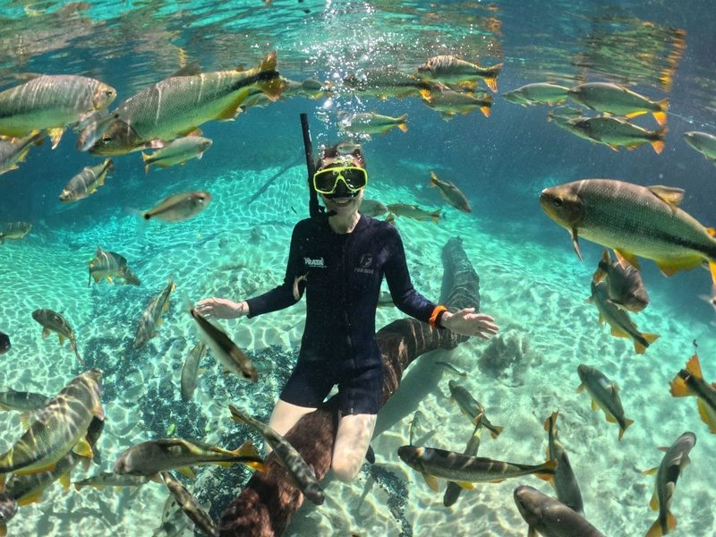 Schnorcheln bei Bonito in Brasilien