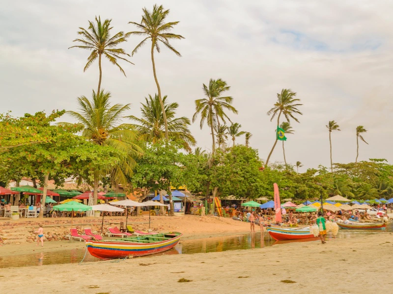 Strand mit Palmen von Jericoacoara in Brazilien