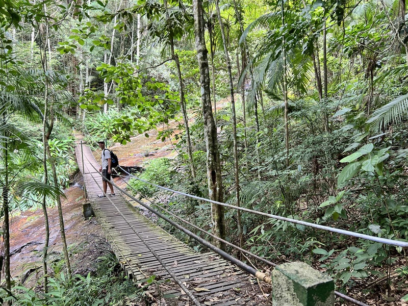 Reisender auf Hängebrücke im Tijuca Nationalpark in Rio de Janeiro