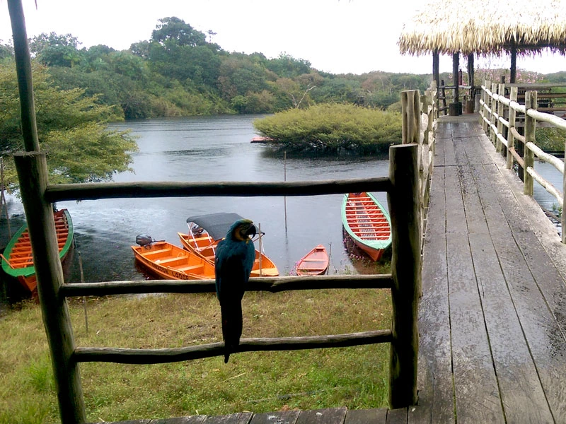 Ausblick in der Amazonas Lodge in Brasilien
