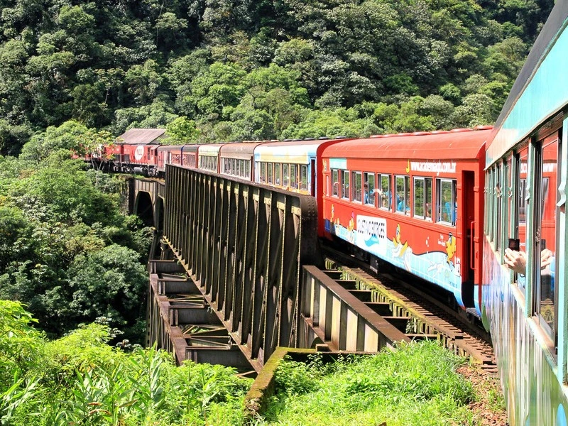 Zug fährt durch Brasilien
