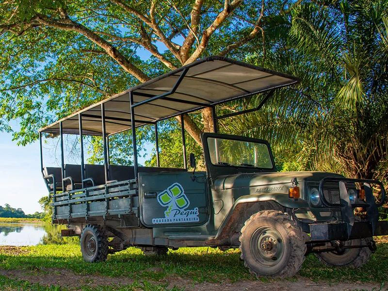 Jeep, Pantanal Brasilien