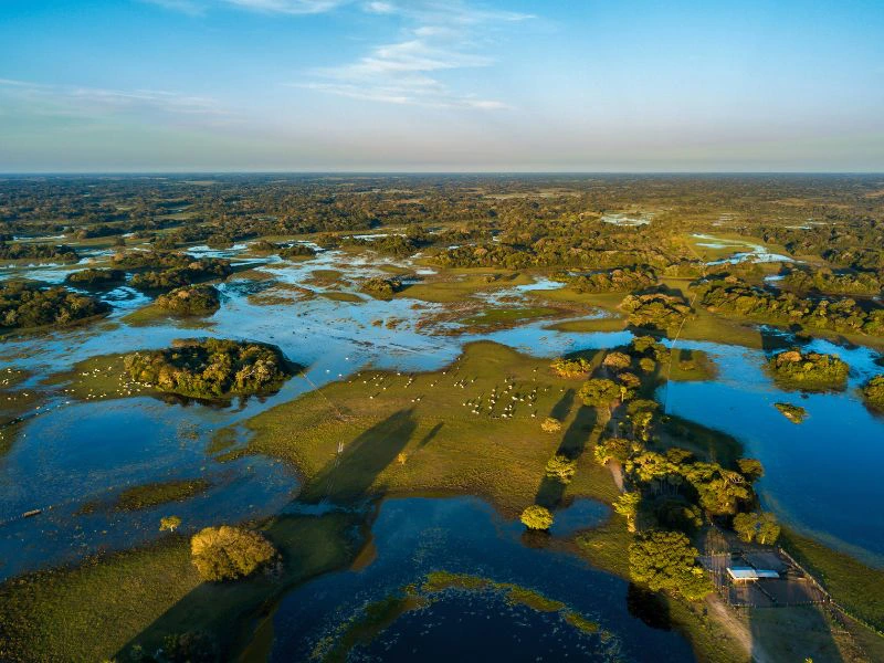 Landschaft Pantanal in Brazilien