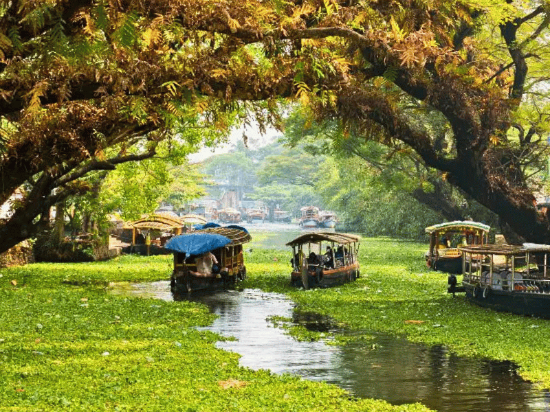 Boote in den Backwaters in Indien