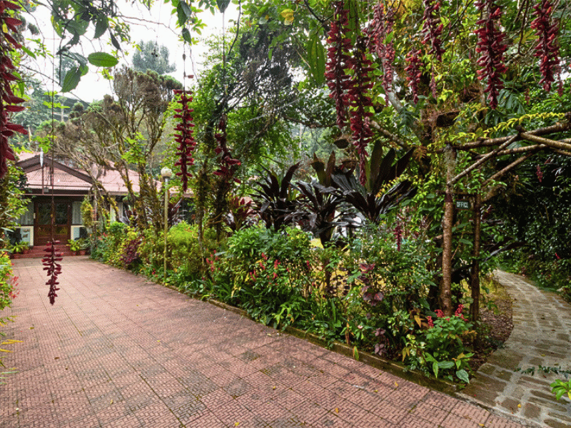 Grüner Garten im Hotel in Kalimpong, Indien