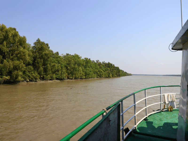 Per Boot in die Mangroven in Sundarbans in Indien