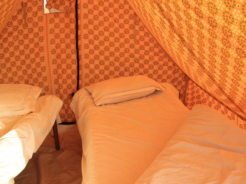 Feldbett im Zelt in der Wüste von Jaisalmer in Indien