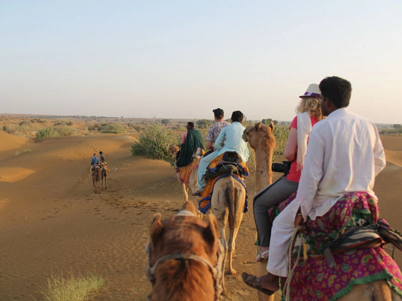 Kamelsafari in Jaisalmer