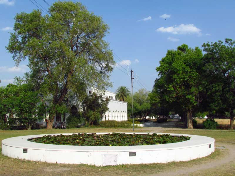Entspannen Sie wie die Maharadschas am Teich in dieser grünen, naturbelassenen Oase bei Shahpura.