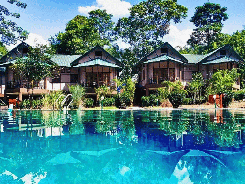 Ein Pool zum Erfrischen im Kaziranga Nationalpark, Indien