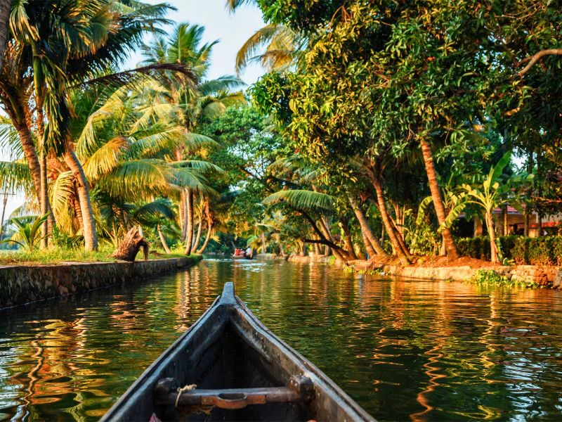 Landschaft in den Backwaters