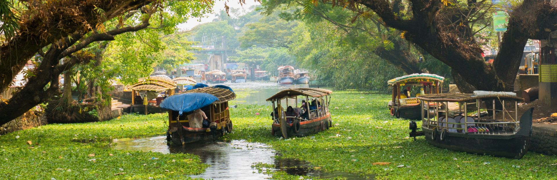 Boote in den Kerala Backwaters, Indien