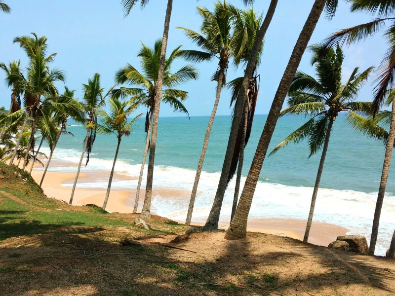 Strand Kovalam mit Palmen