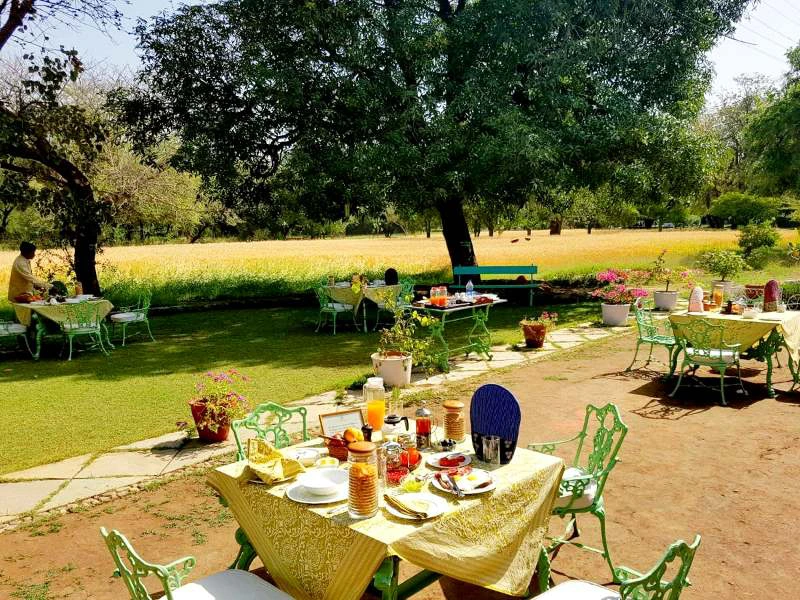 Restaurant im Freien im Hotel in Shahpura, India