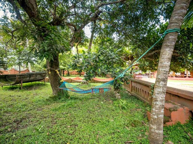 Grüner Garten im Homestay in Alleppey, Indien