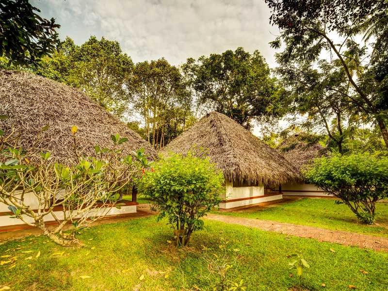 Hotel in Marari Beach