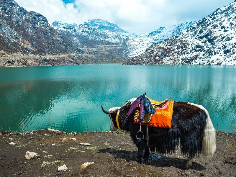 Landschaft in Sikkim, Indien