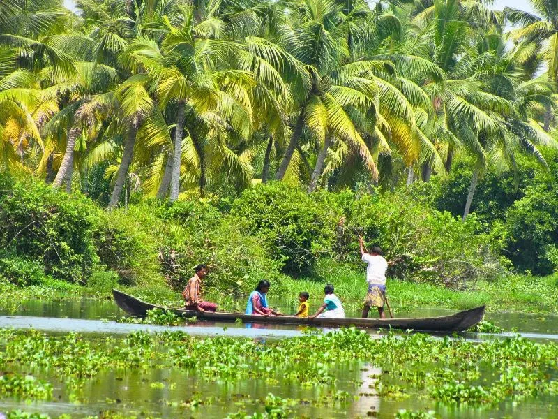 Einheimische in einem Boot in den grĂĽnen Backwaters in Indien