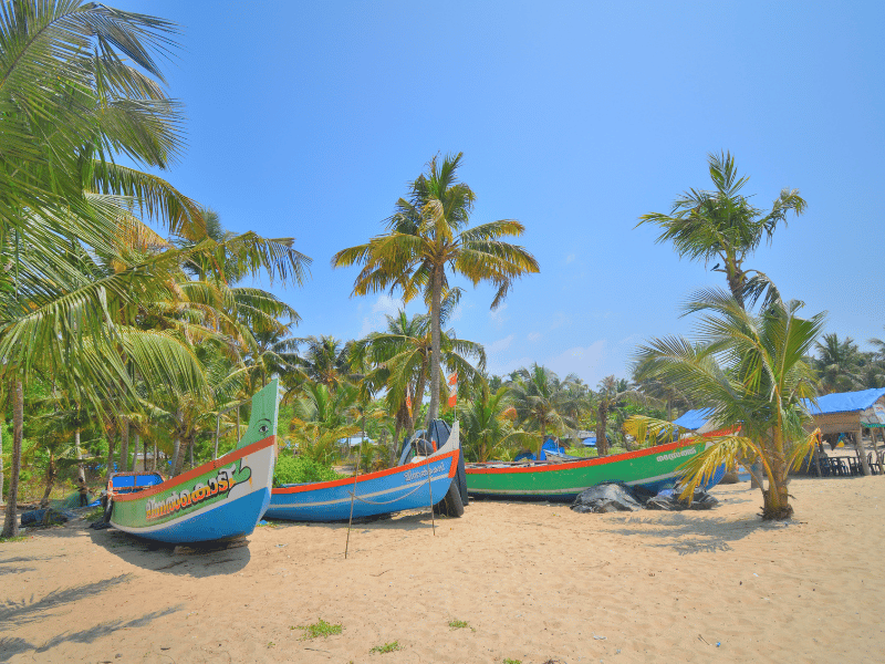 Boote am Palmenstrand von Marari, Indien
