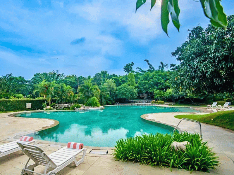 Pool im Corbett Nationalpark in Indien