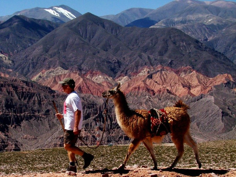 Wanderung mit Lama bei Tilcara