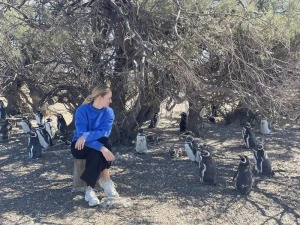 Pinguine Peninsula Valdes