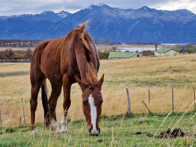 Argentinien Patagonia Estancia Hotel