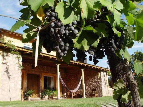 Gartenanlage Komfortunterkunft Mendoza