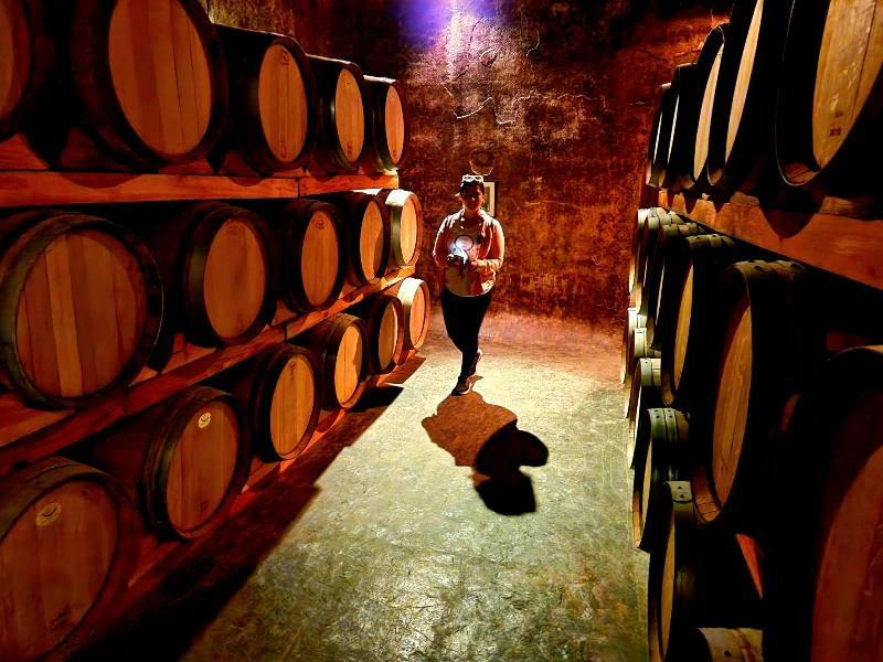 Weinkeller in Mendoza, Argentinien