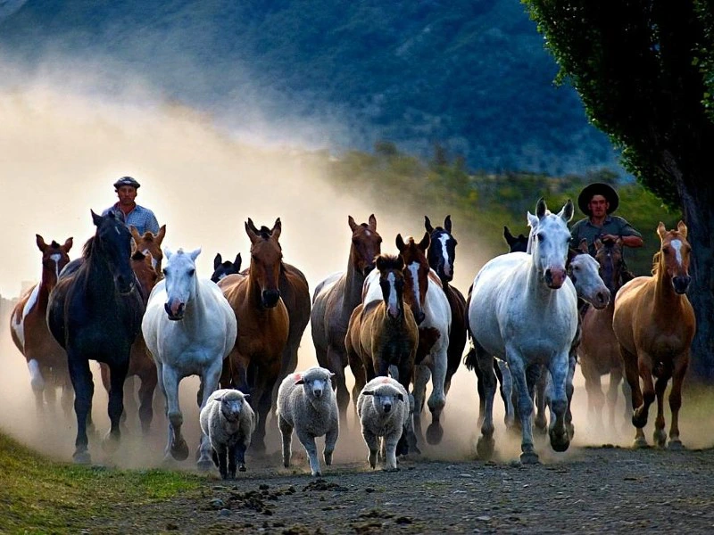Gauchos in Patagonien