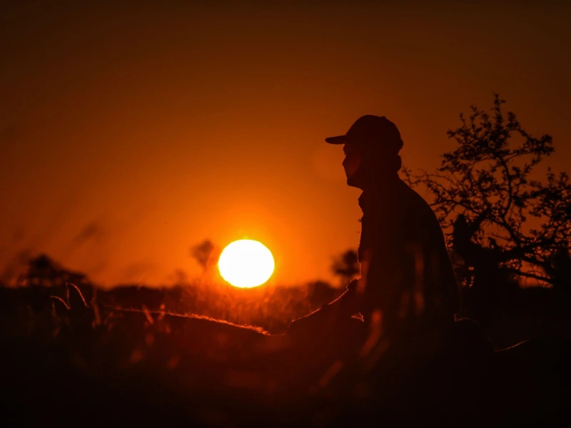 Gaucho im Sonnenuntergang in Argentinien