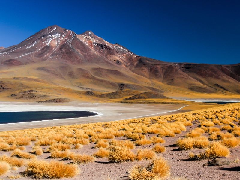 Chili -San-Pedro-de-Atacama-Laguna-Miscanti